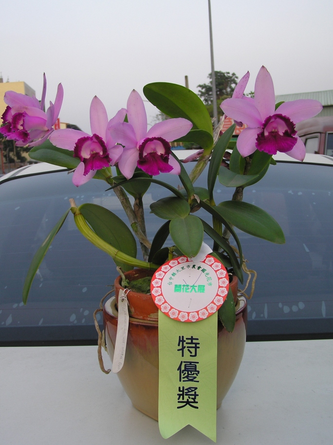 按此在新視窗瀏覽圖片