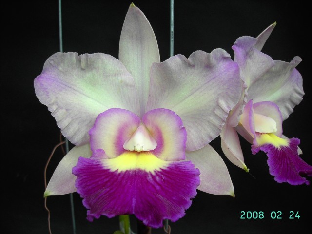 按此在新視窗瀏覽圖片