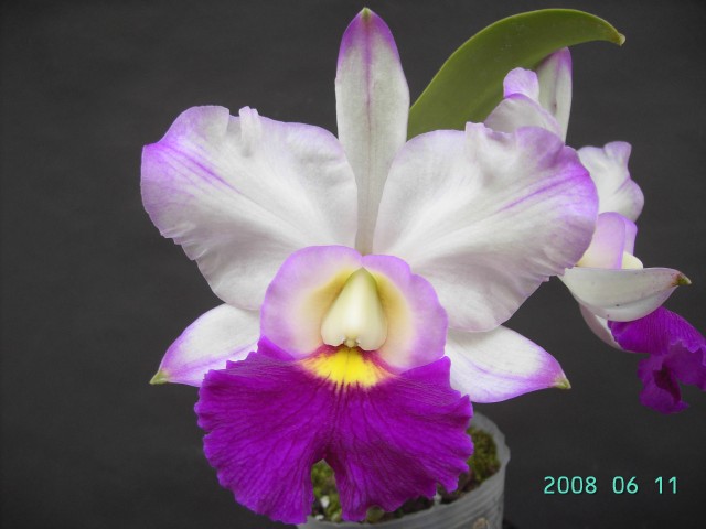 按此在新視窗瀏覽圖片