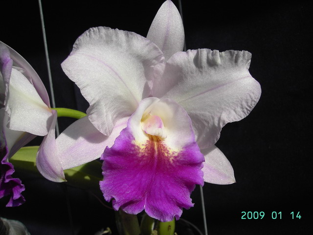 按此在新視窗瀏覽圖片