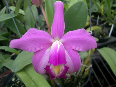 «ö¦¹¦b·sµøµ¡ÂsÄý¹Ï¤ù