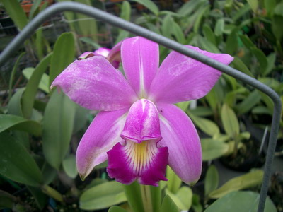 «ö¦¹¦b·sµøµ¡ÂsÄý¹Ï¤ù