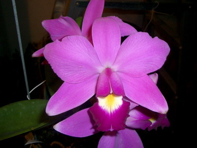 «ö¦¹¦b·sµøµ¡ÂsÄý¹Ï¤ù