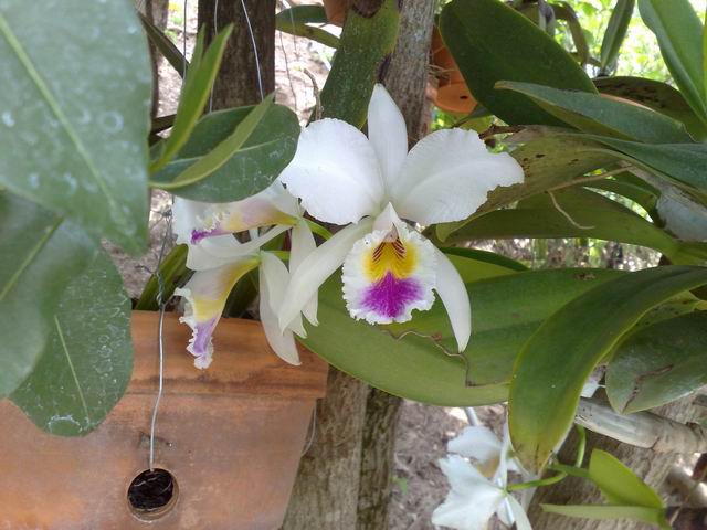 按此在新視窗瀏覽圖片