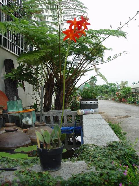 按此在新視窗瀏覽圖片