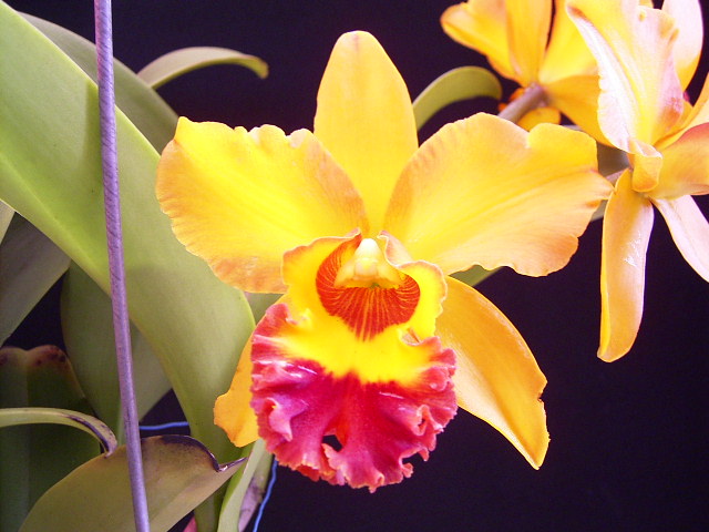 按此在新視窗瀏覽圖片