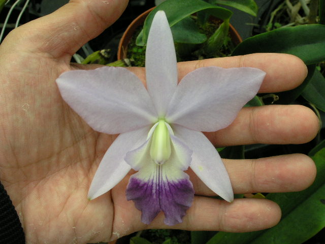 按此在新視窗瀏覽圖片