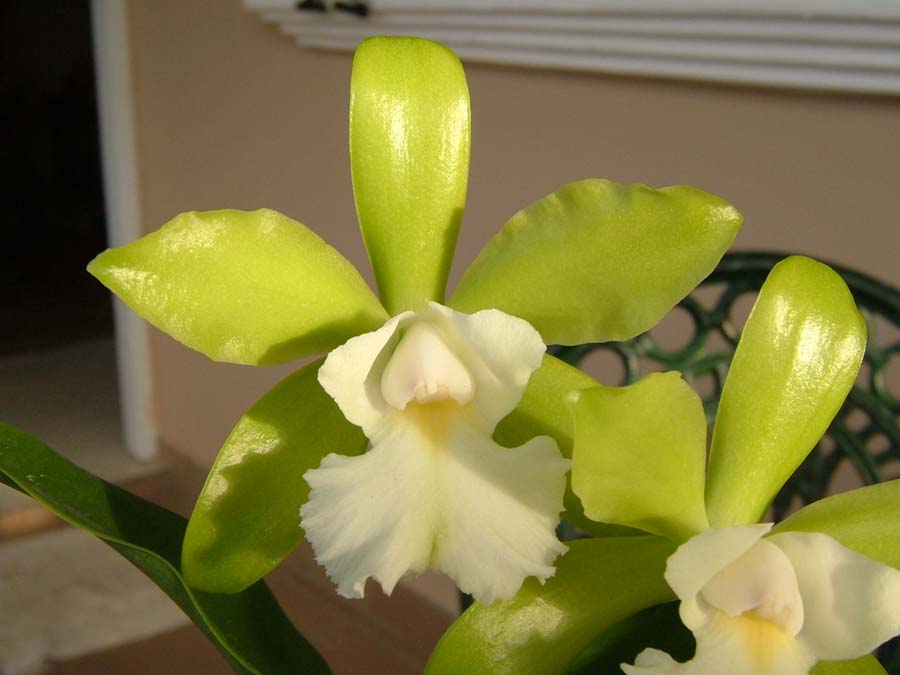 按此在新視窗瀏覽圖片