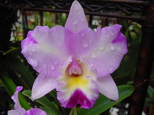 按此在新視窗瀏覽圖片