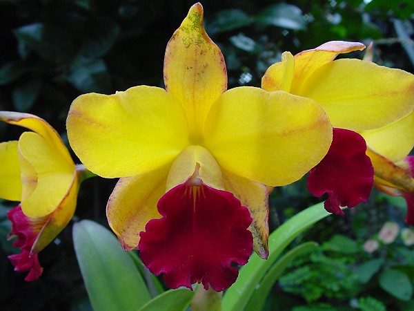 按此在新視窗瀏覽圖片