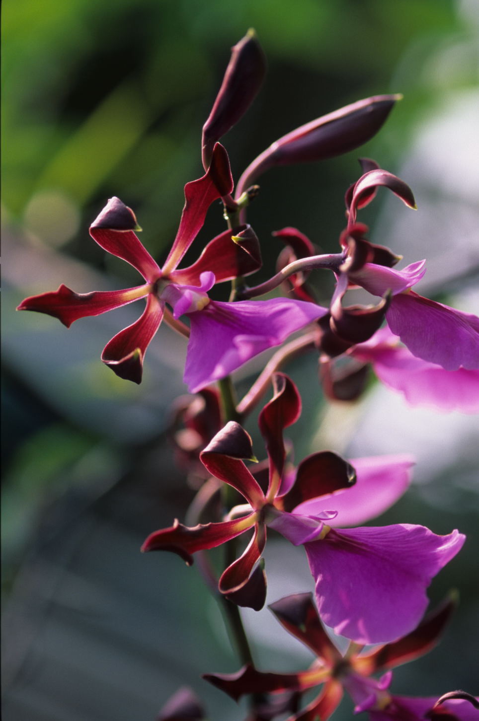 按此在新視窗瀏覽圖片