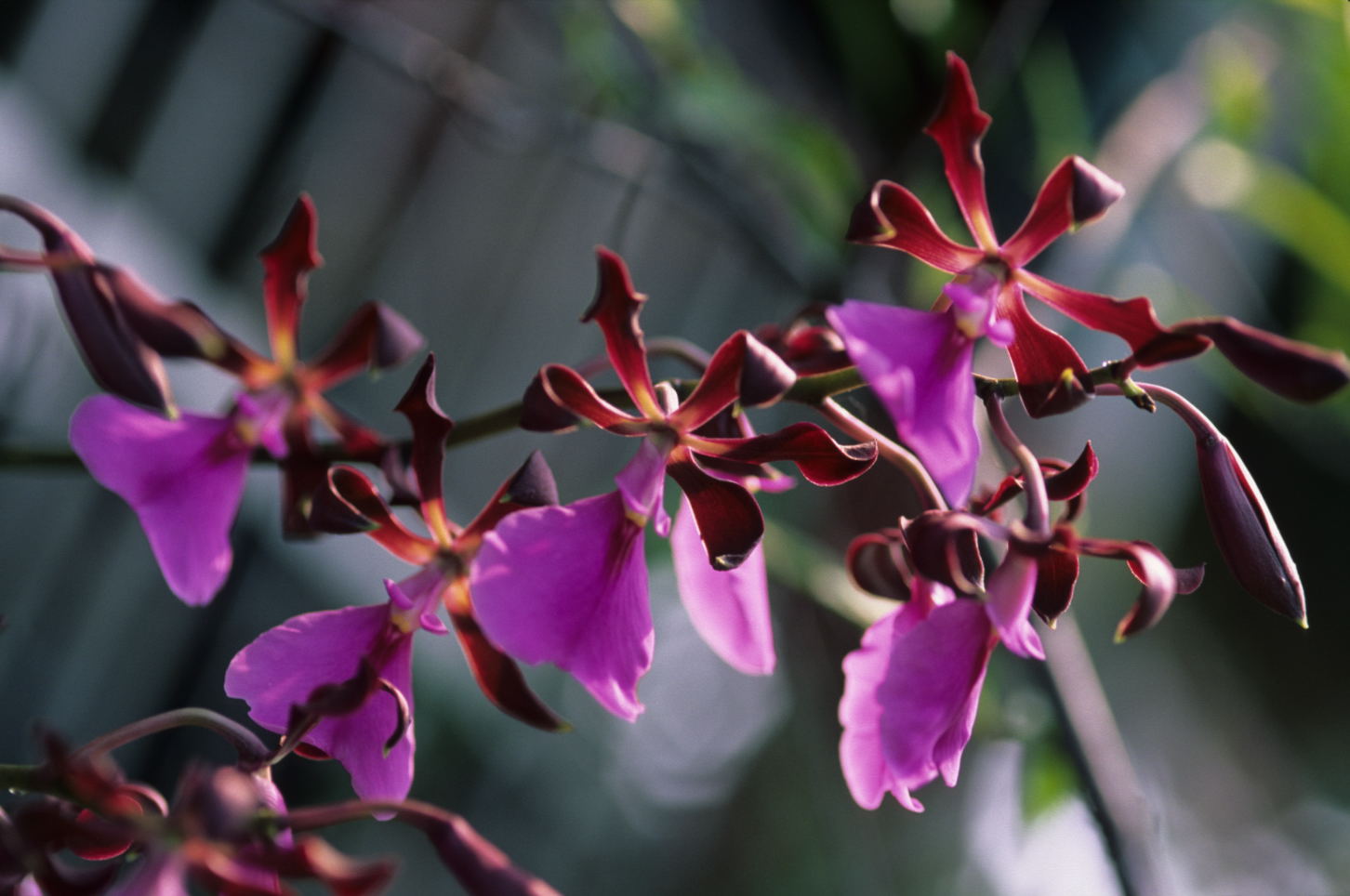 按此在新視窗瀏覽圖片