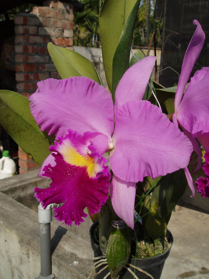 按此在新視窗瀏覽圖片