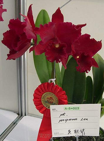 按此在新視窗瀏覽圖片