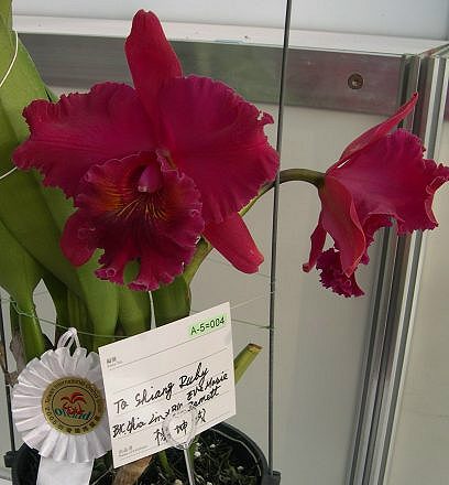 按此在新視窗瀏覽圖片