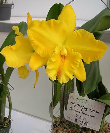 按此在新視窗瀏覽圖片