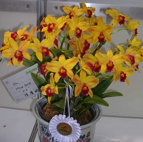 按此在新視窗瀏覽圖片