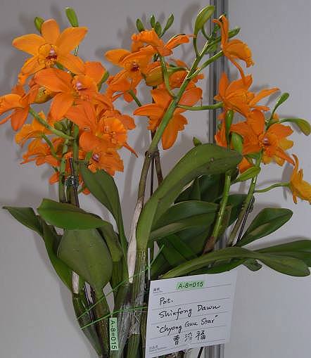 按此在新視窗瀏覽圖片