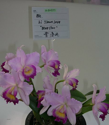 按此在新視窗瀏覽圖片