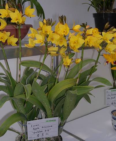 按此在新視窗瀏覽圖片