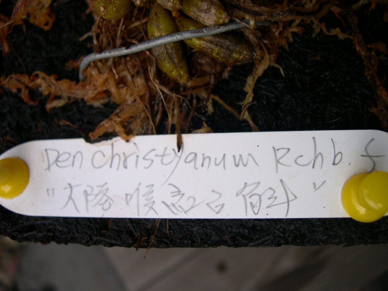 按此在新視窗瀏覽圖片
