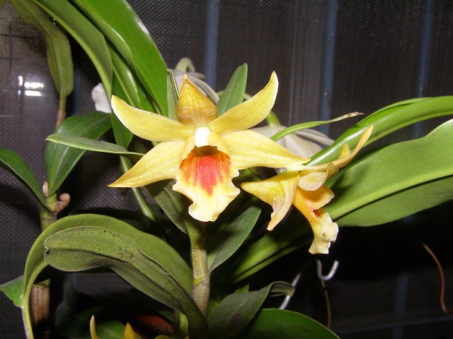 «ö¦¹¦b·sµøµ¡ÂsÄý¹Ï¤ù