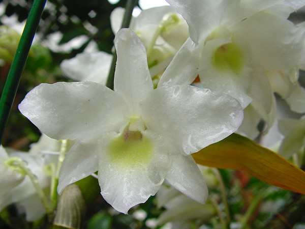 按此在新視窗瀏覽圖片