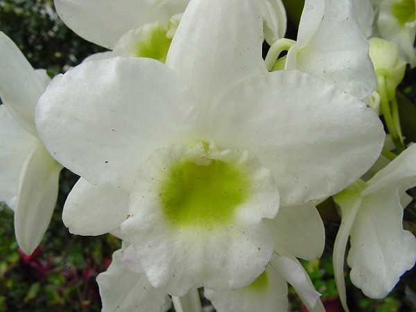 按此在新視窗瀏覽圖片