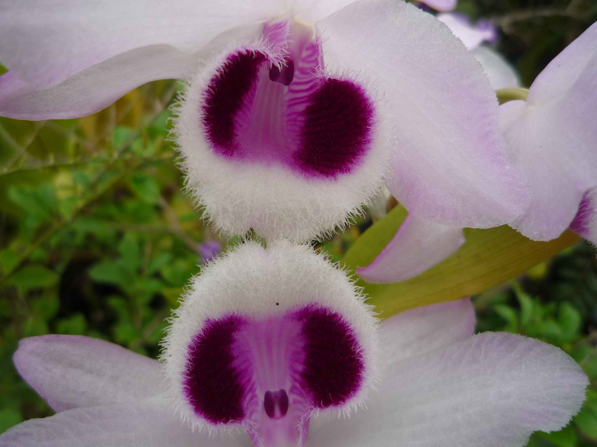 «ö¦¹¦b·sµøµ¡ÂsÄý¹Ï¤ù