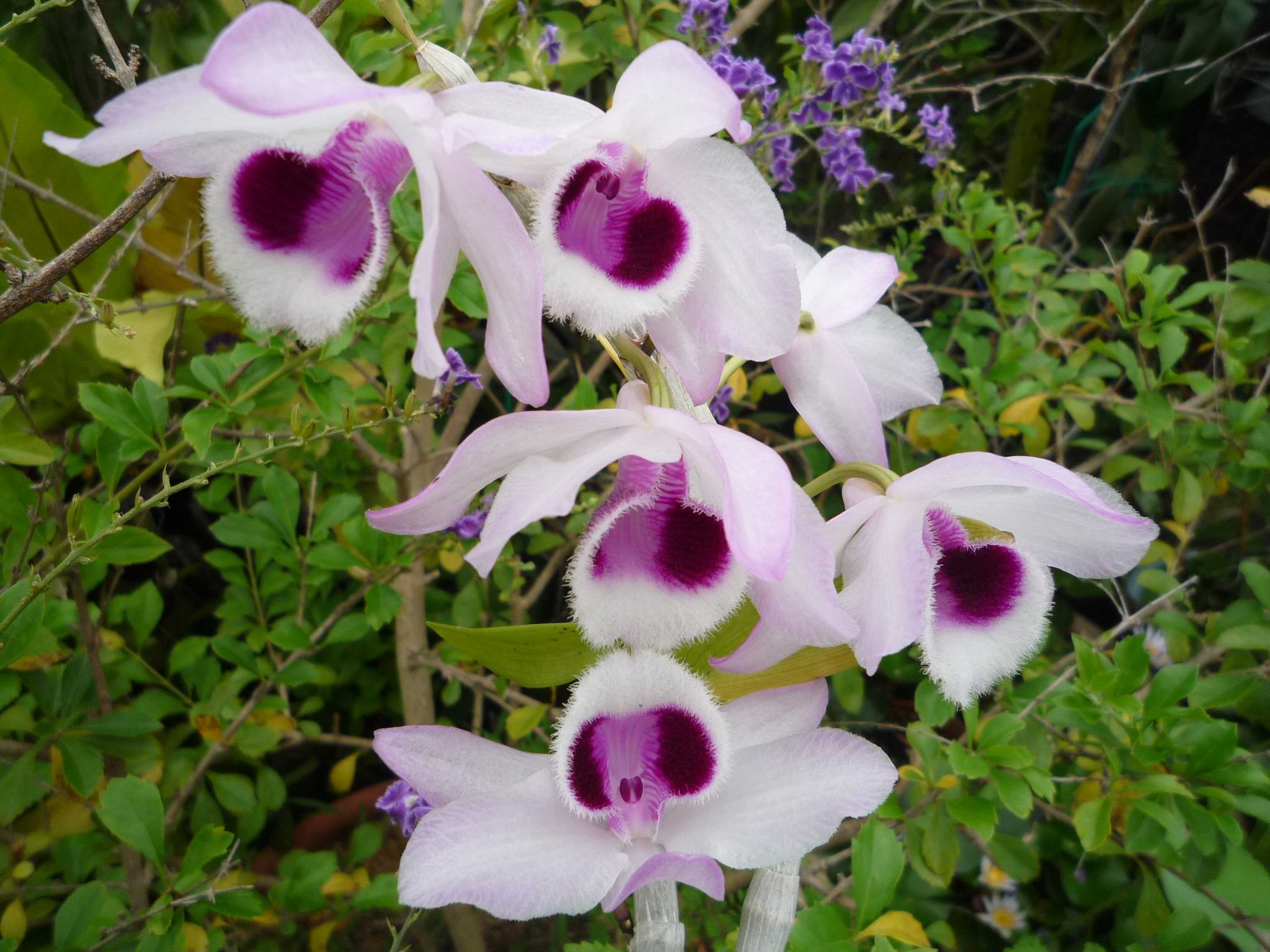 «ö¦¹¦b·sµøµ¡ÂsÄý¹Ï¤ù