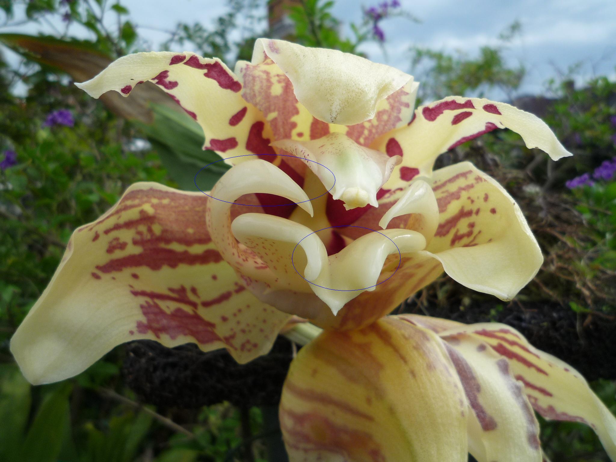 «ö¦¹¦b·sµøµ¡ÂsÄý¹Ï¤ù