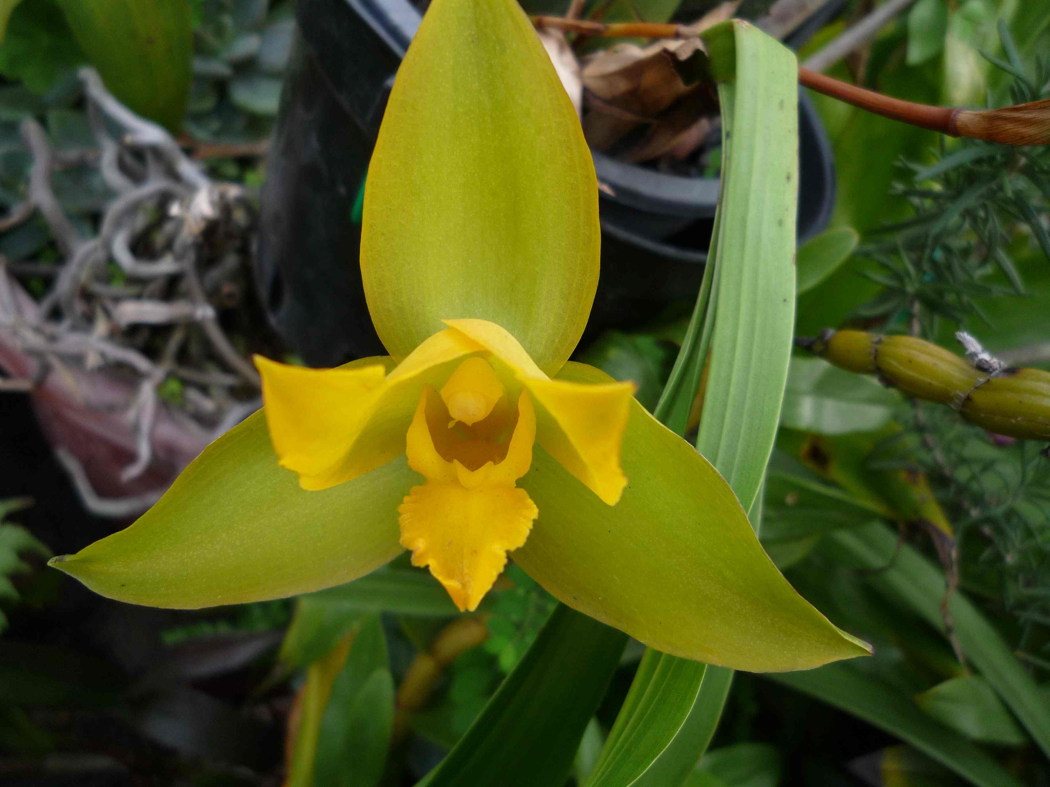 «ö¦¹¦b·sµøµ¡ÂsÄý¹Ï¤ù