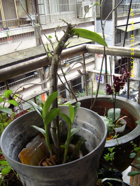 «ö¦¹¦b·sµøµ¡ÂsÄý¹Ï¤ù