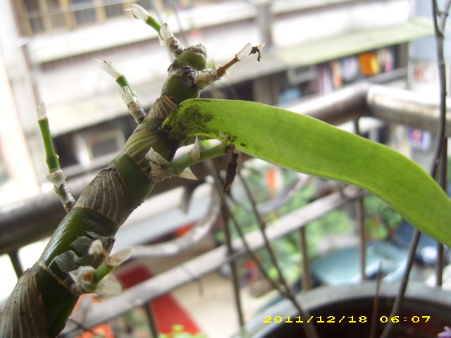 «ö¦¹¦b·sµøµ¡ÂsÄý¹Ï¤ù