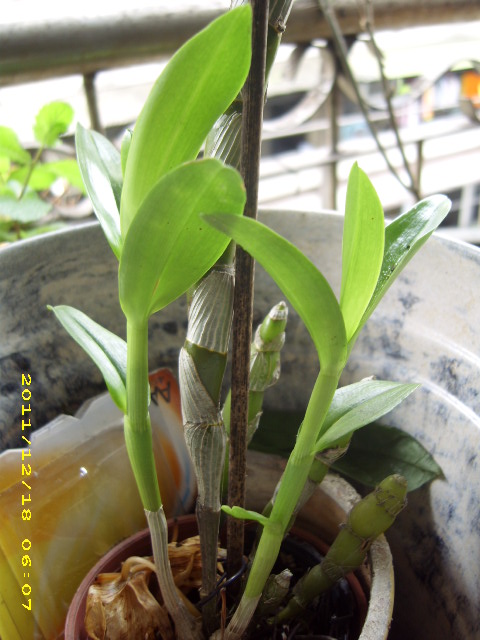 «ö¦¹¦b·sµøµ¡ÂsÄý¹Ï¤ù