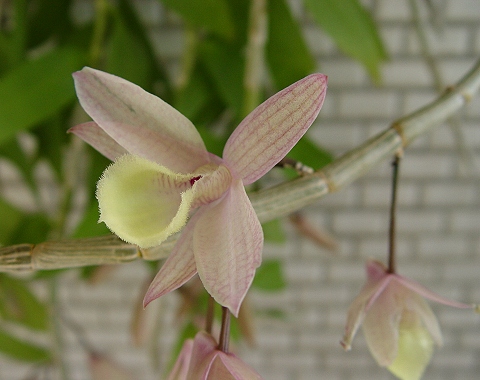 按此在新視窗瀏覽圖片