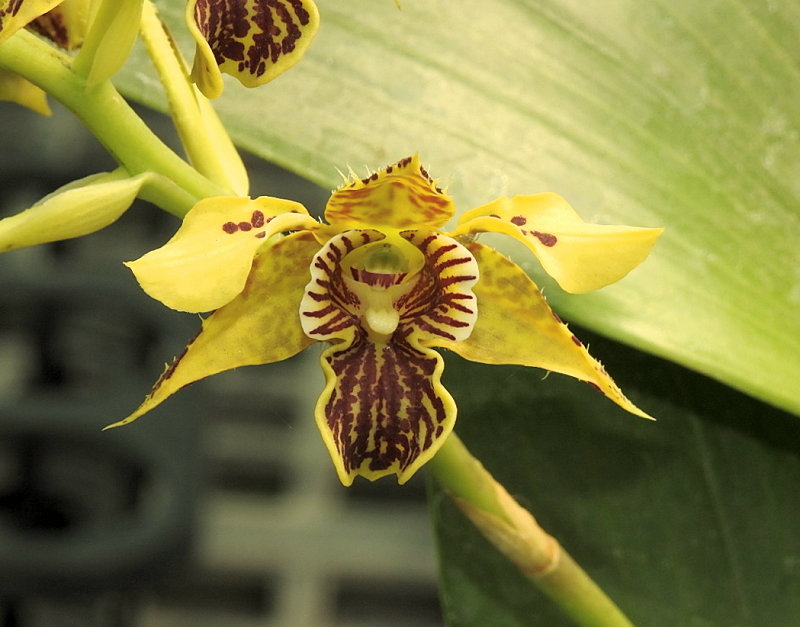 «ö¦¹¦b·sµøµ¡ÂsÄý¹Ï¤ù