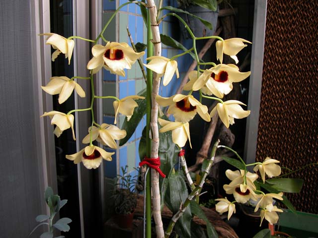 按此在新視窗瀏覽圖片