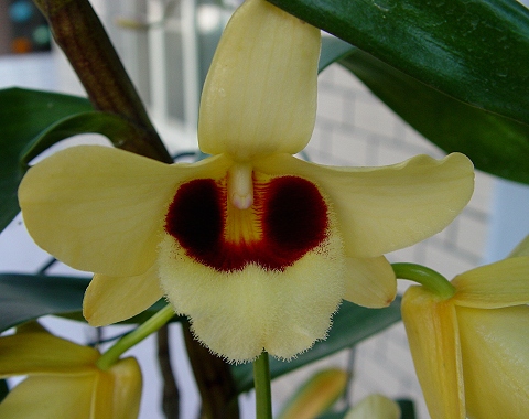 按此在新視窗瀏覽圖片