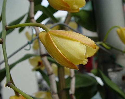 按此在新視窗瀏覽圖片