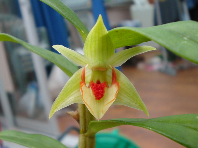 «ö¦¹¦b·sµøµ¡ÂsÄý¹Ï¤ù