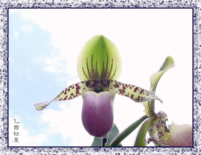 按此在新視窗瀏覽圖片