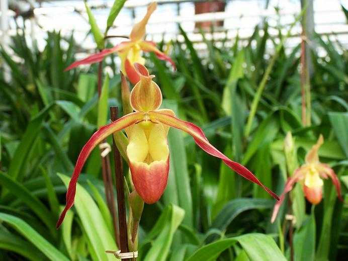 «ö¦¹¦b·sµøµ¡ÂsÄý¹Ï¤ù