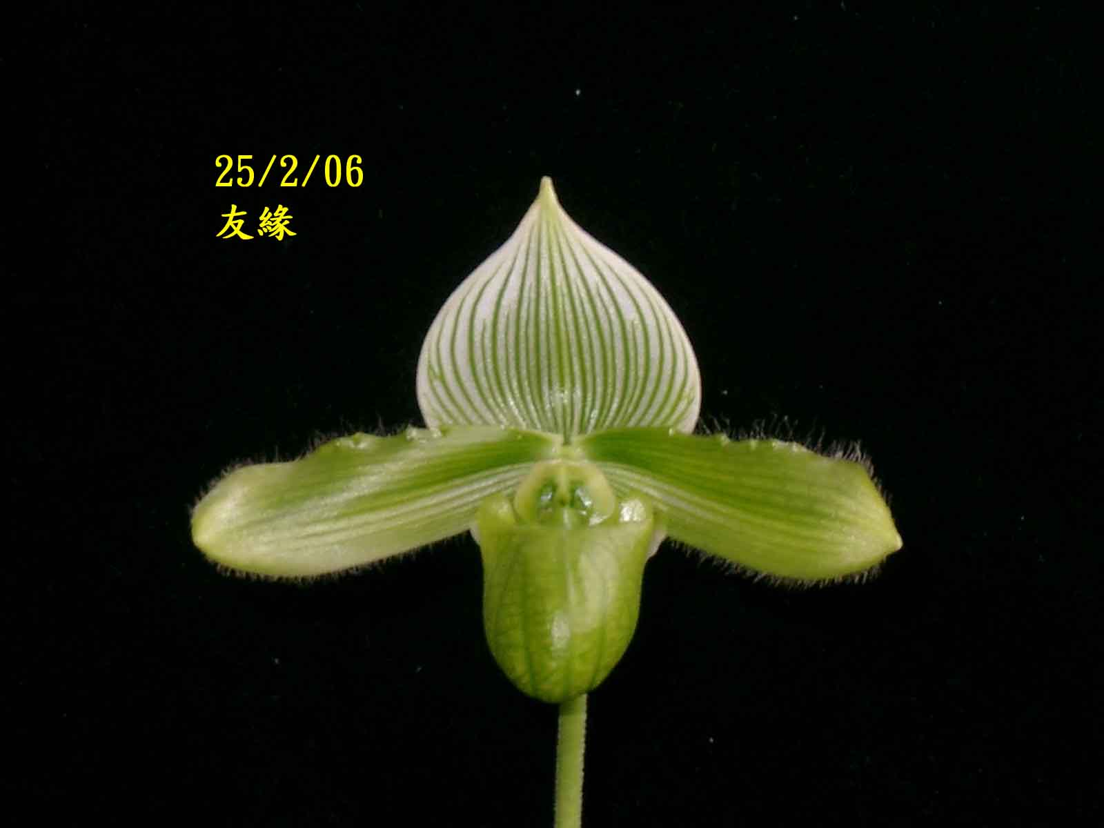 «ö¦¹¦b·sµøµ¡ÂsÄý¹Ï¤ù