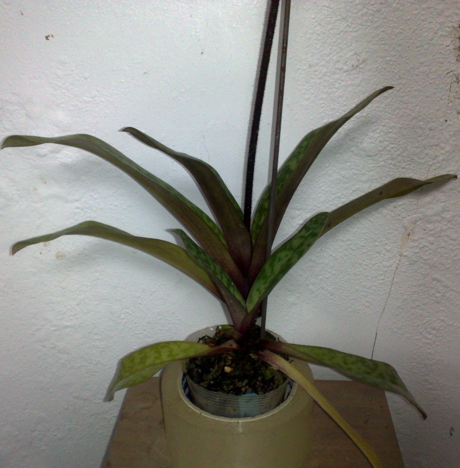 «ö¦¹¦b·sµøµ¡ÂsÄý¹Ï¤ù