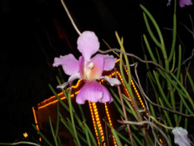 «ö¦¹¦b·sµøµ¡ÂsÄý¹Ï¤ù