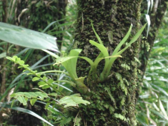 «ö¦¹¦b·sµøµ¡ÂsÄý¹Ï¤ù