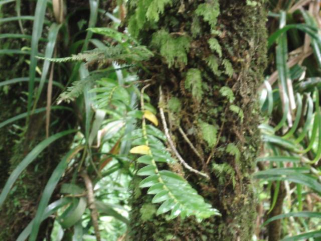 «ö¦¹¦b·sµøµ¡ÂsÄý¹Ï¤ù