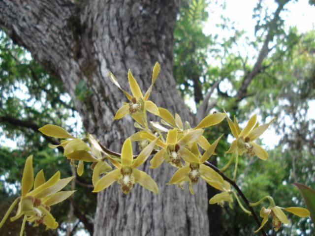 «ö¦¹¦b·sµøµ¡ÂsÄý¹Ï¤ù