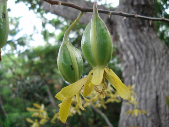 «ö¦¹¦b·sµøµ¡ÂsÄý¹Ï¤ù